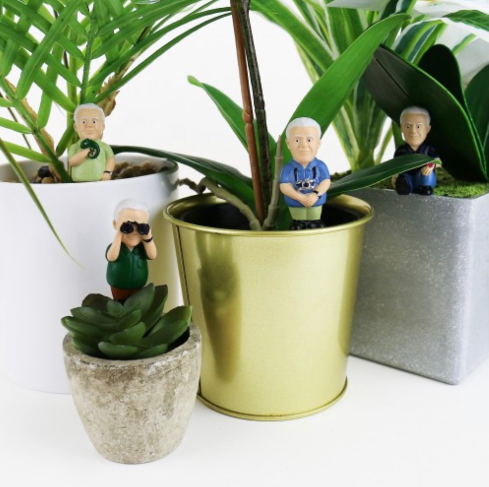 Mini Plant Pot David Attenborough Explorers – Urban Depot Leederville