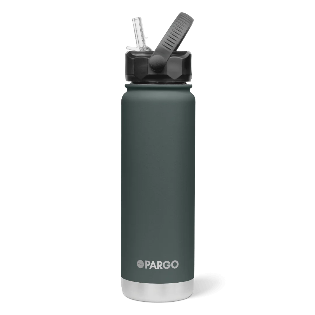 Project PARGO Insulated Water Bottle w/ Straw Lid 750ml