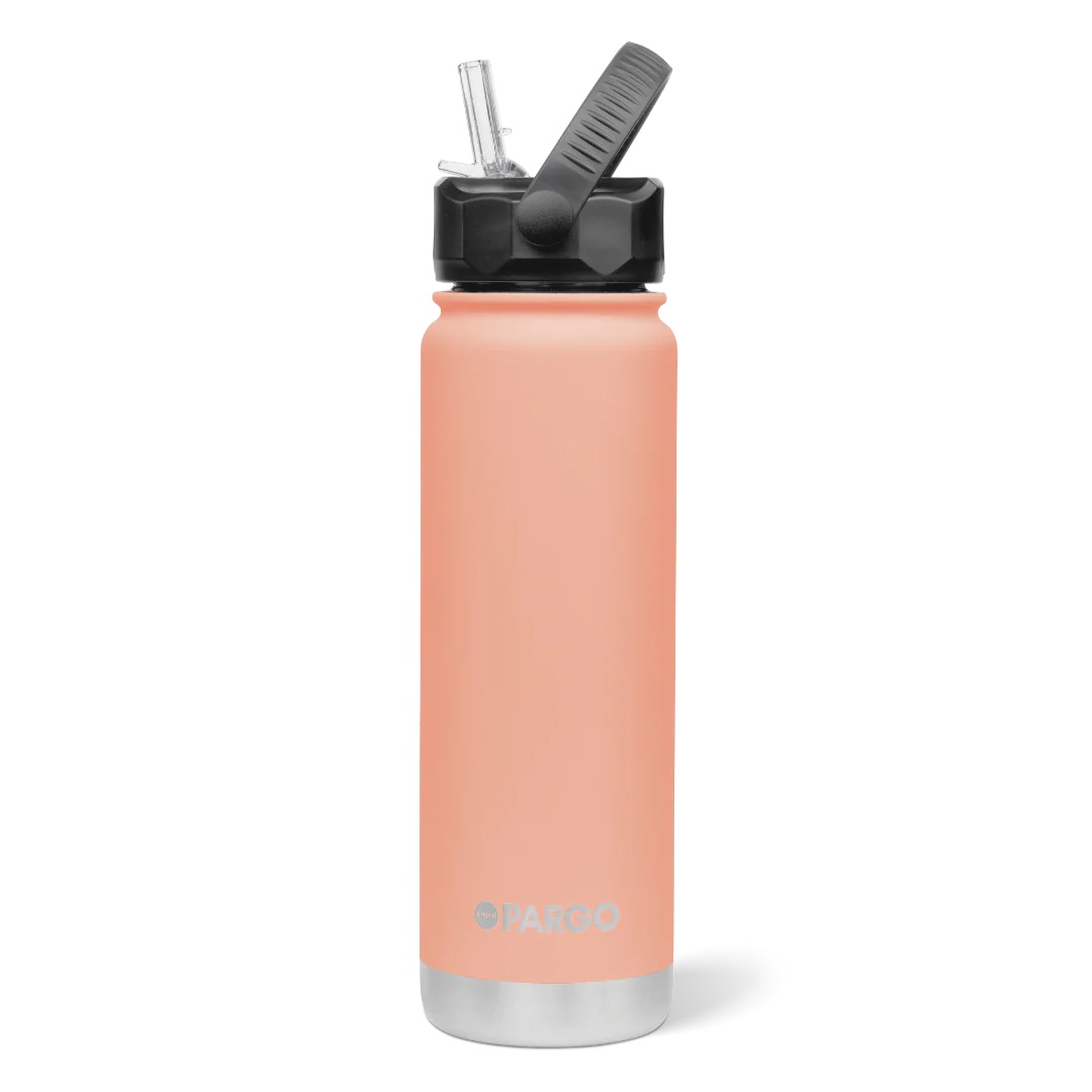 Project PARGO Insulated Water Bottle w/ Straw Lid 750ml