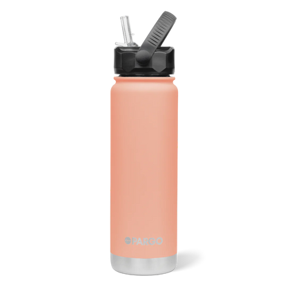 Project PARGO Insulated Water Bottle w/ Straw Lid 750ml