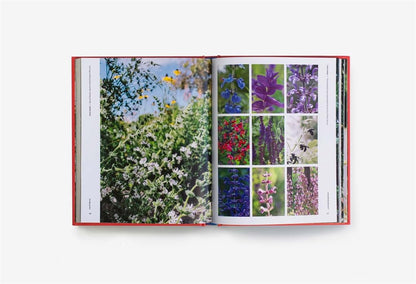 The Super Bloom Handbook