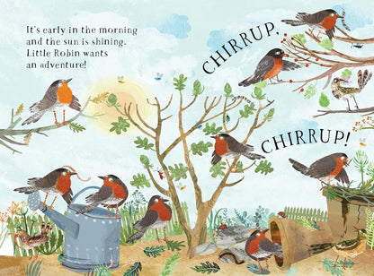 Little Robbin's Book of Birds