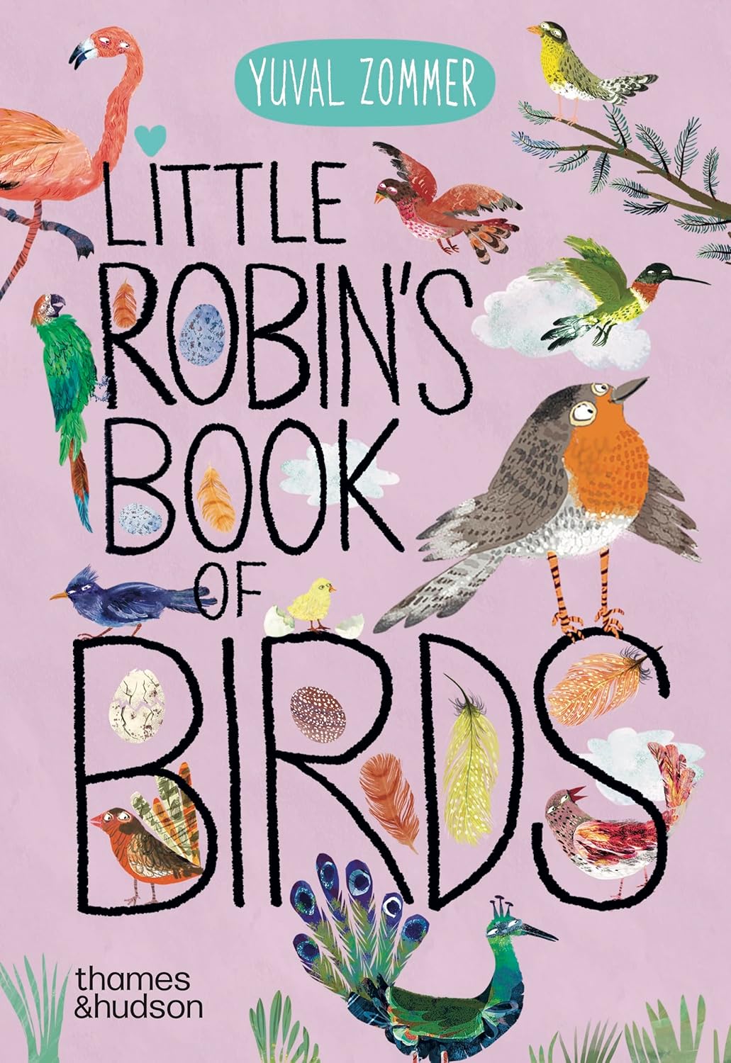 Little Robbin's Book of Birds