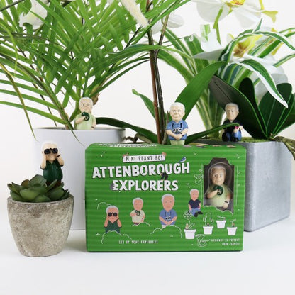 Mini Pot plant Attenborough Explorers