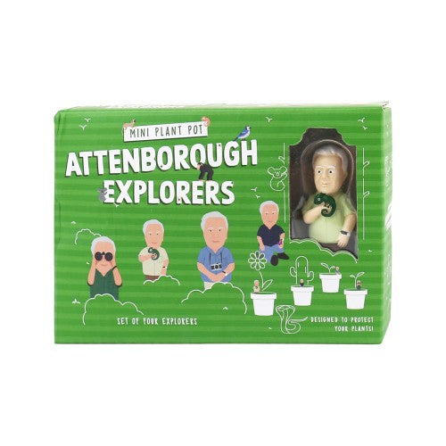 Mini Pot plant Attenborough Explorers