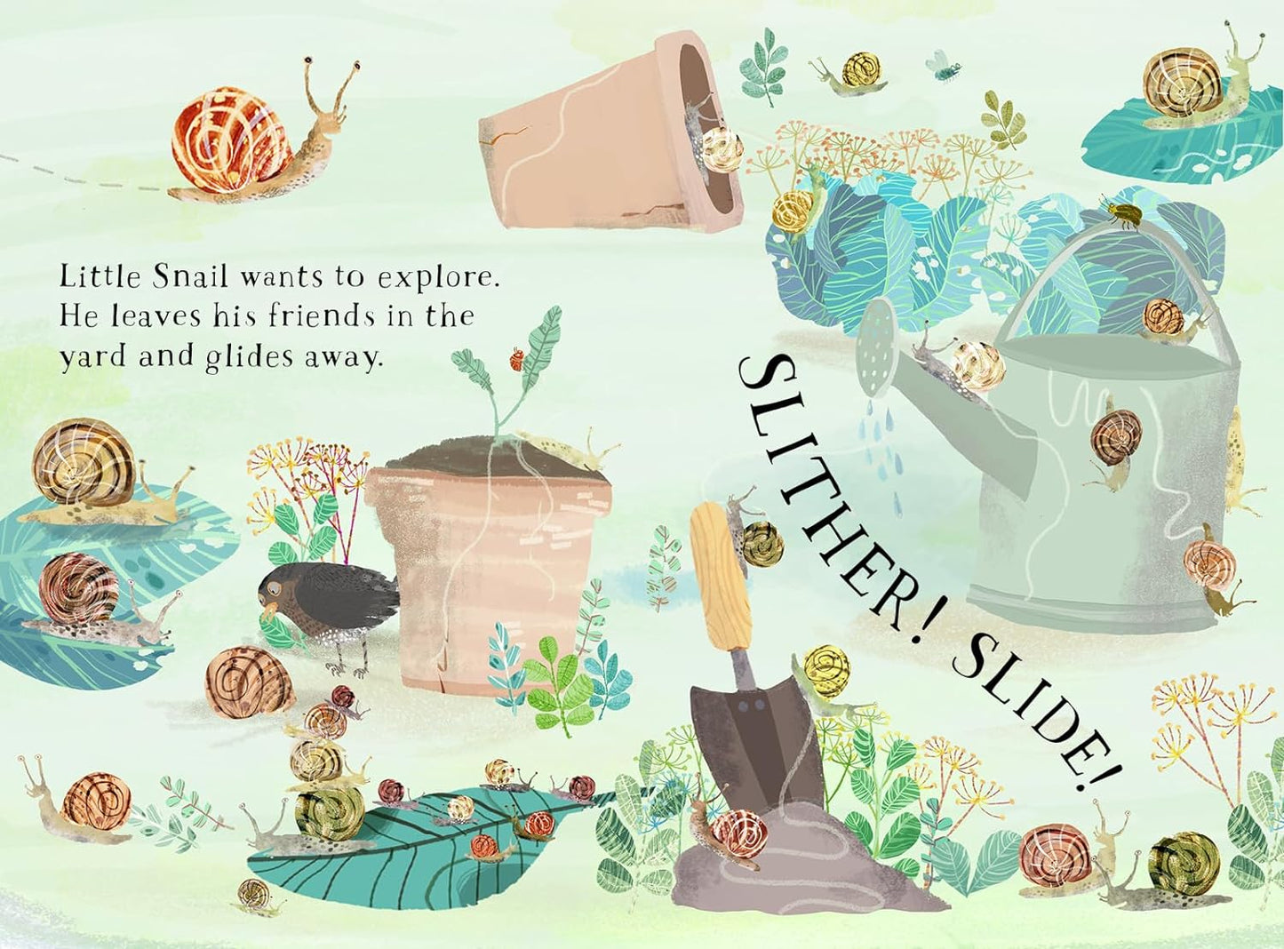 Little Snail’s Book of Bugs