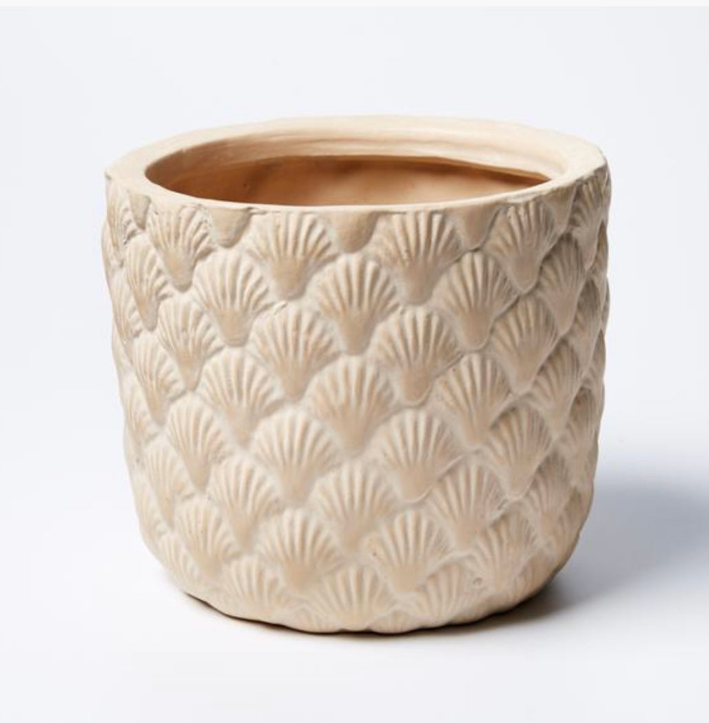 Jones & Co Sea Shell Planter – Urban Depot Leederville